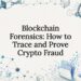 Decorative title card illustration for blockchain forensics article