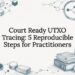 Decorative UTXO tracing title card