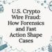 Sketches framing a crypto fraud title