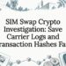 SIM swap investigation title card illustration