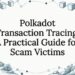Polkadot transaction tracing title card illustration